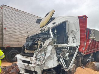 Personal de emergencia atendiendo accidente múltiple en la Ruta 5 Sur en Collipulli