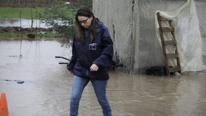 Funcionarios de Desarrollo Social entregando kits de ayuda a familias afectadas por el sistema frontal en Angol