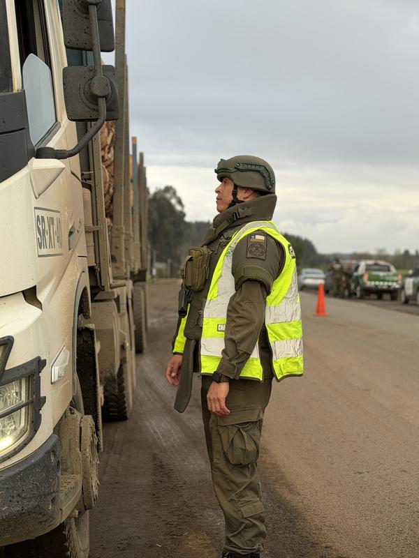 Personal de Carabineros y autoridades realizando control vehicular a camiones de carga forestal en la provincia de Malleco