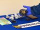 Detectives de la PDI realizan procedimiento policial por microtráfico en el centro de Temuco