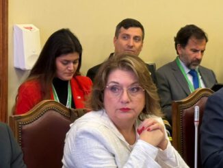 La diputada Andrea Parra solicita medidas concretas para familias damnificadas por las inundaciones en la región de La Araucanía.
