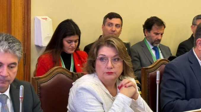 La diputada Andrea Parra solicita medidas concretas para familias damnificadas por las inundaciones en la región de La Araucanía.