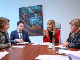 Diputada Andrea Parra reunida con autoridades de energía para discutir cortes eléctricos en Malleco