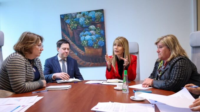 Diputada Andrea Parra reunida con autoridades de energía para discutir cortes eléctricos en Malleco