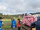 El diputado Eduardo Cretton recorriendo zonas afectadas por inundaciones y trabajando en terreno junto a agricultores.