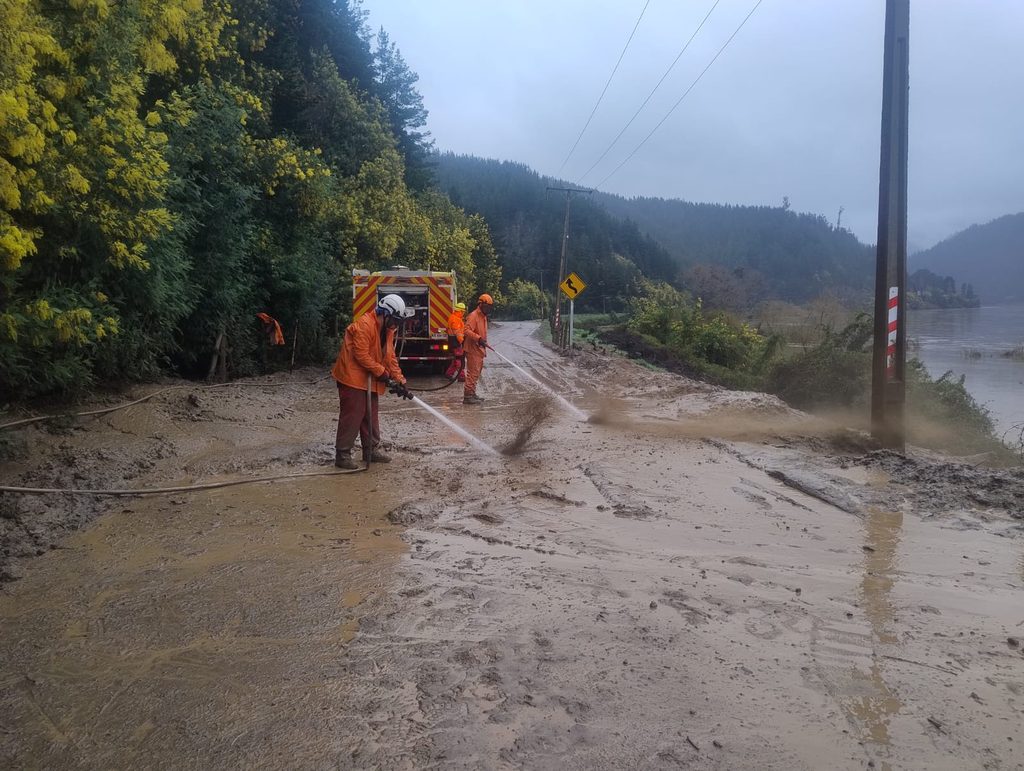 Maquinaria pesada del sector forestal realizando labores de despeje de caminos y reconstrucción tras inundaciones.