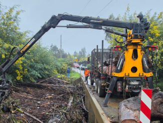 Maquinaria pesada del sector forestal realizando labores de despeje de caminos y reconstrucción tras inundaciones.