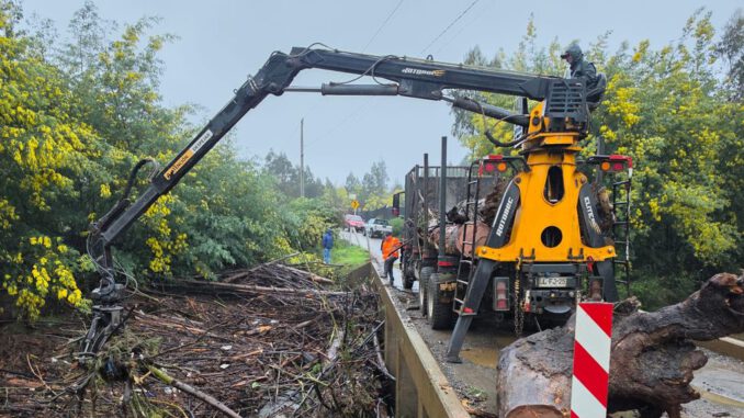 Maquinaria pesada del sector forestal realizando labores de despeje de caminos y reconstrucción tras inundaciones.