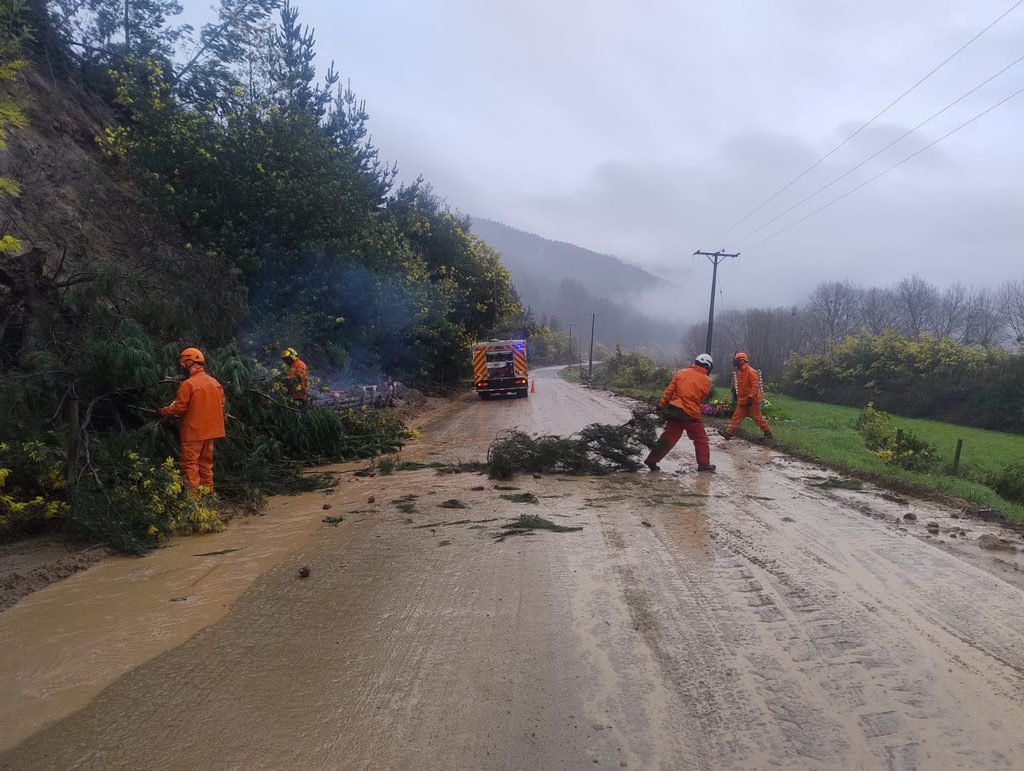 Maquinaria pesada del sector forestal realizando labores de despeje de caminos y reconstrucción tras inundaciones.