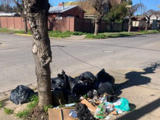 Trabajadores del aseo en paro frente a camiones recolectores en Angol