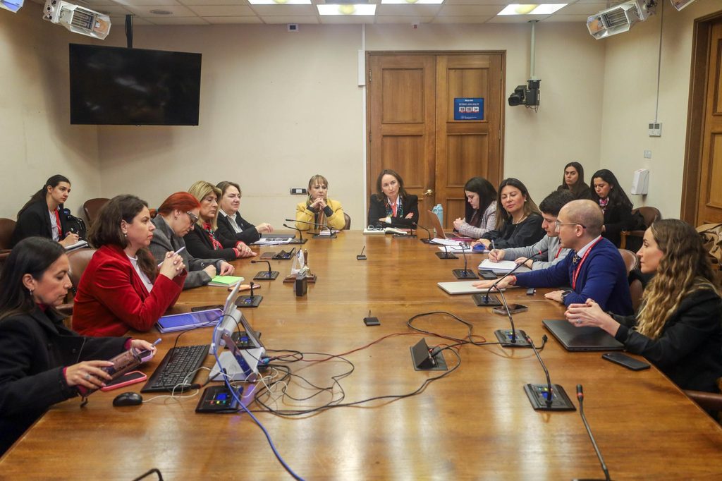 La diputada Flor Contreras durante una sesión de la Bancada Rosa en el Congreso Nacional