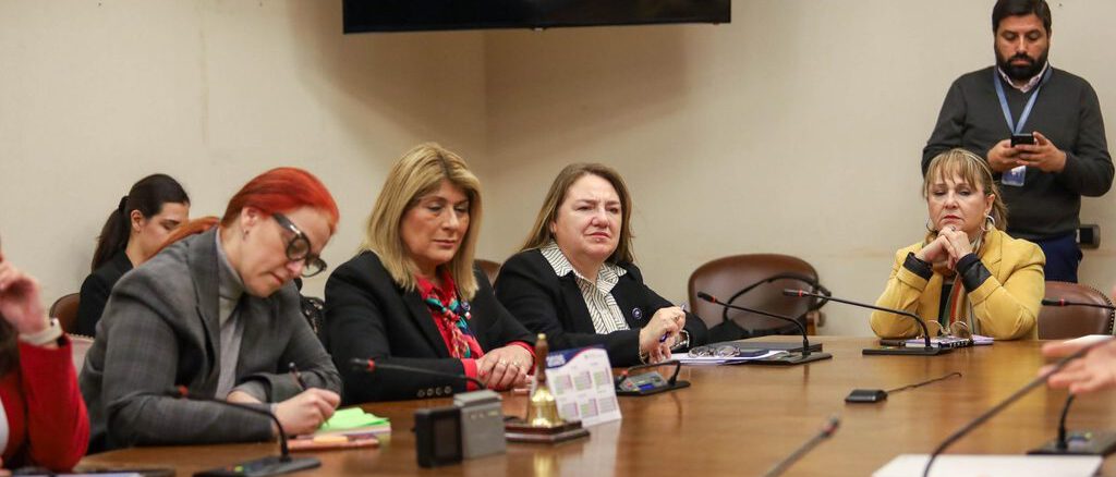 La diputada Flor Contreras durante una sesión de la Bancada Rosa en el Congreso Nacional