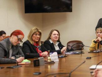 La diputada Flor Contreras durante una sesión de la Bancada Rosa en el Congreso Nacional