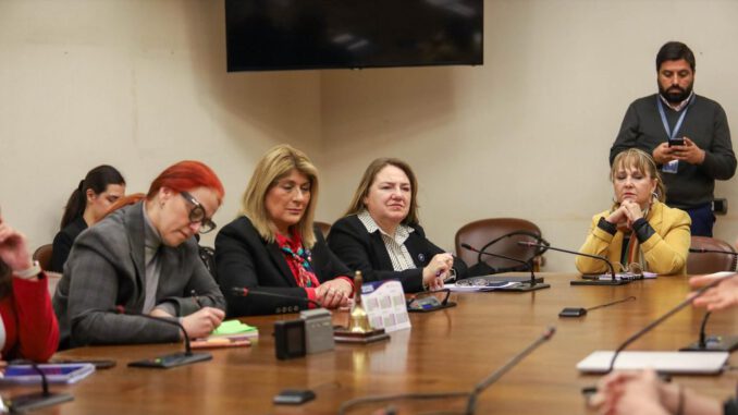 La diputada Flor Contreras durante una sesión de la Bancada Rosa en el Congreso Nacional