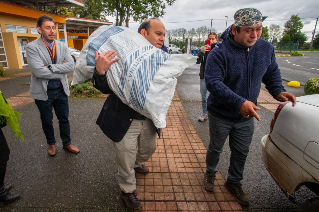 Entrega de ayuda alimentaria para ganado a pequeños agricultores afectados por inundaciones en La Araucanía.