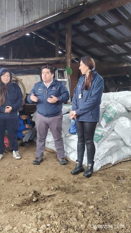 Entrega de ayuda alimentaria para ganado a pequeños agricultores afectados por inundaciones en La Araucanía.
