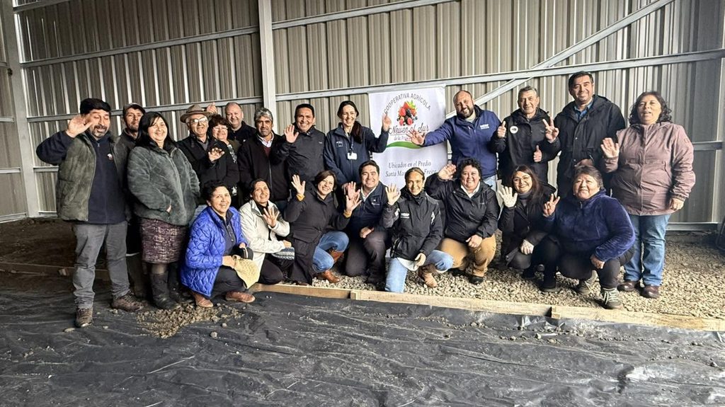 Entrega de ayuda alimentaria para ganado a pequeños agricultores afectados por inundaciones en La Araucanía.