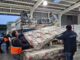 Equipos de emergencia del Gobierno de Chile realizando labores de ayuda en La Araucanía tras el sistema frontal