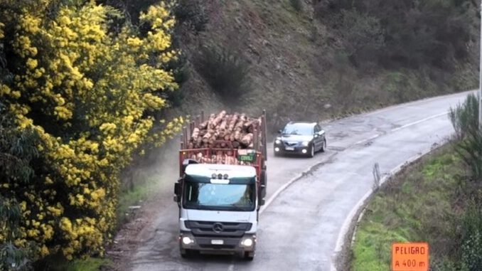 Trabajadores y maquinaria en proyecto de mejoramiento vial entre Lumaco y Capitán Pastene