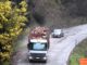 Trabajadores y maquinaria en proyecto de mejoramiento vial entre Lumaco y Capitán Pastene