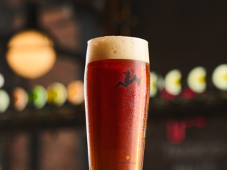 Botellas de cerveza Kross premiadas en los World Beer Awards 2026 junto a elementos de pisco Malpaso.