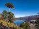 Paisaje natural de un parque nacional en Chile con vegetación nativa y montañas