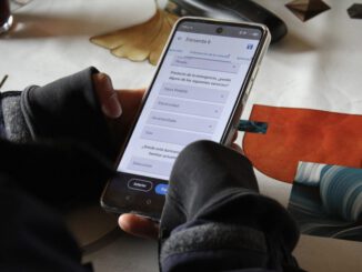 Equipos de la Seremi de Desarrollo Social aplicando la ficha FIBE en hogares afectados por el sistema frontal en La Araucanía.
