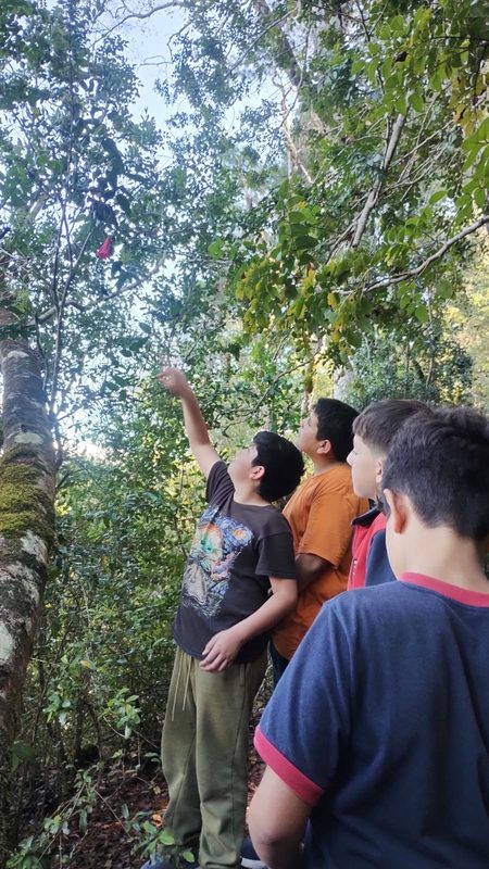 Fachada y estudiantes de la Escuela Epu Klei en Licán Ray durante actividades escolares