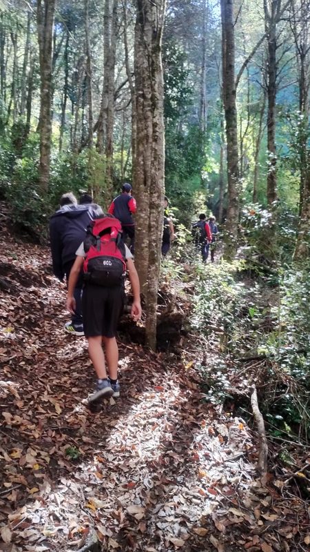 Fachada y estudiantes de la Escuela Epu Klei en Licán Ray durante actividades escolares