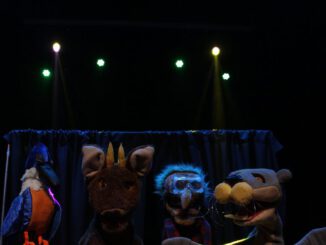 Escena de la obra de títeres Guardianes del Humedal con animales nativos de la zona sur