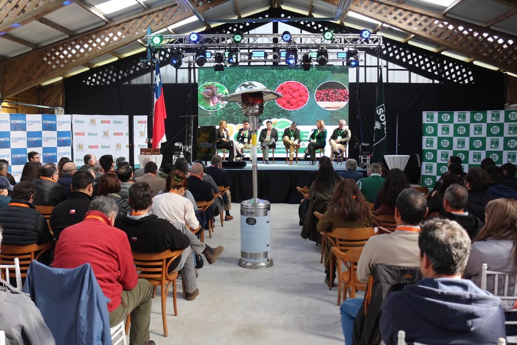 Asistentes y expertos reunidos en la Segunda Cumbre Araucanía Frutícola para analizar el futuro del sector