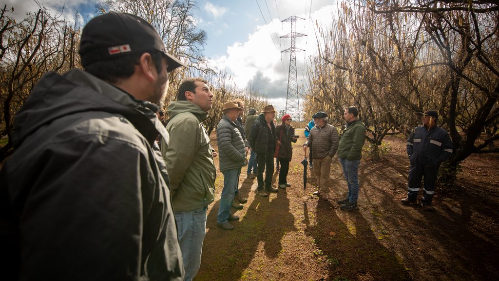 Asistentes y expertos reunidos en la Segunda Cumbre Araucanía Frutícola para analizar el futuro del sector