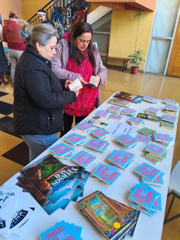 Visitantes recorriendo los puestos de la segunda Feria del Libro Usado en el Centro Cultural de Lautaro