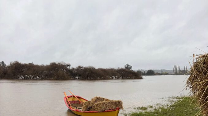 Seremi Luis Calderón coordinando labores de seguridad en zonas afectadas por lluvias en Carahue