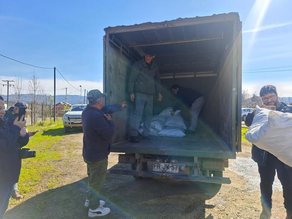 Autoridades del Minagri realizando la entrega de sacos de alimento animal a agricultores afectados en Purén.