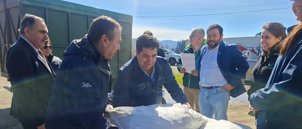 Autoridades del Minagri realizando la entrega de sacos de alimento animal a agricultores afectados en Purén.