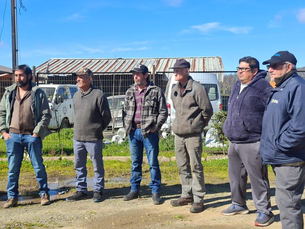 Autoridades del Minagri realizando la entrega de sacos de alimento animal a agricultores afectados en Purén.