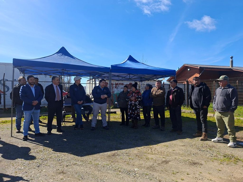 Autoridades del Minagri realizando la entrega de sacos de alimento animal a agricultores afectados en Purén.