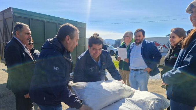Autoridades del Minagri realizando la entrega de sacos de alimento animal a agricultores afectados en Purén.