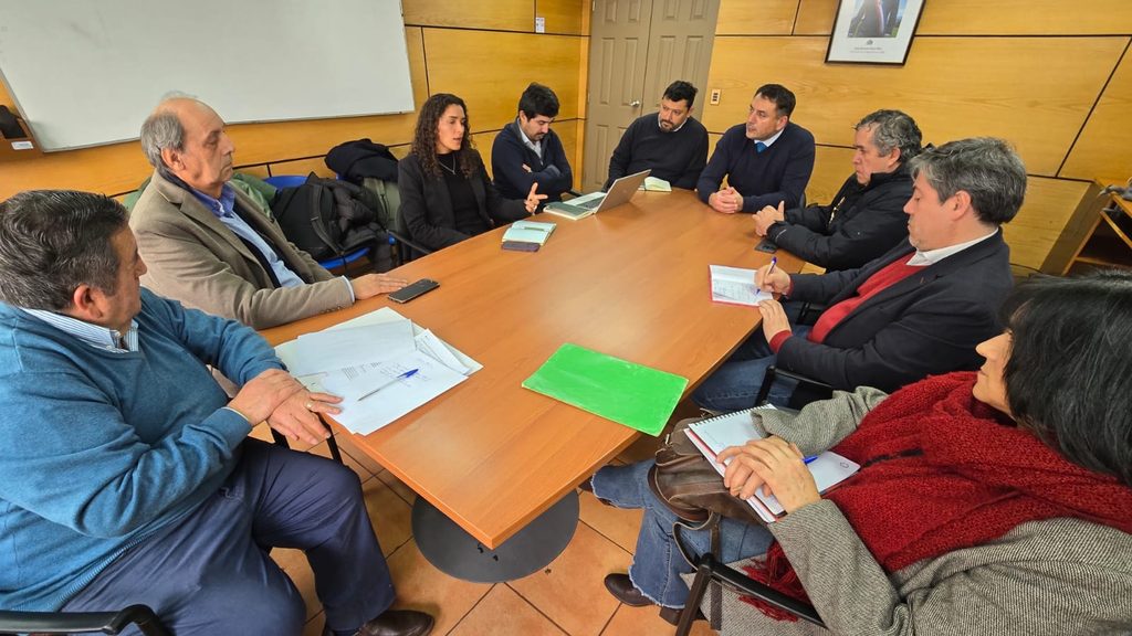 Reunión entre autoridades del Ministerio de Transportes y operadores de buses en Villarrica para asegurar la conectividad