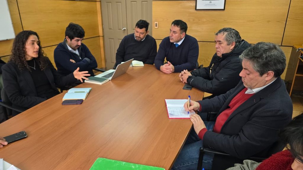 Reunión entre autoridades del Ministerio de Transportes y operadores de buses en Villarrica para asegurar la conectividad