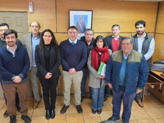 Reunión entre autoridades del Ministerio de Transportes y operadores de buses en Villarrica para asegurar la conectividad