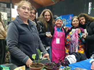 Grupo de mujeres rurales intercambiando semillas ancestrales durante el encuentro Trafkintu en la región de La Araucanía.