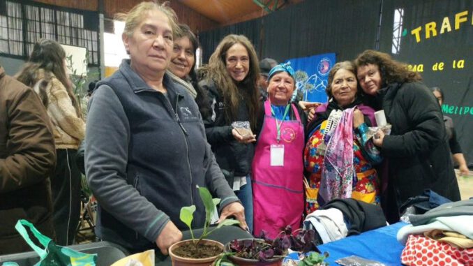 Grupo de mujeres rurales intercambiando semillas ancestrales durante el encuentro Trafkintu en la región de La Araucanía.
