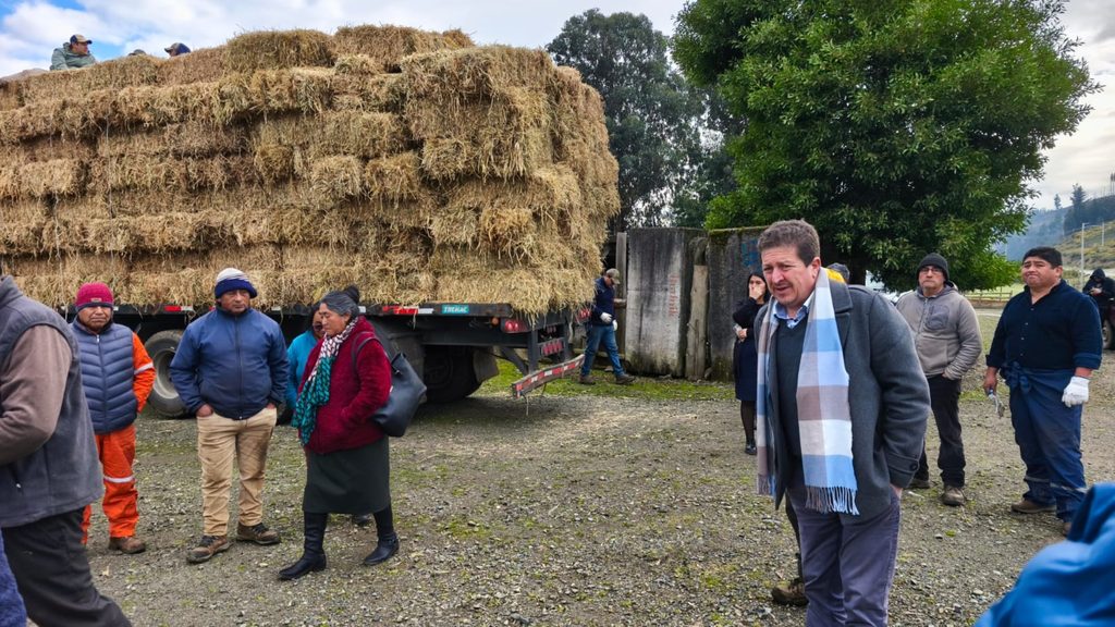 Entrega de fardos de forraje a campesinos por parte de la Municipalidad de Lumaco tras temporales