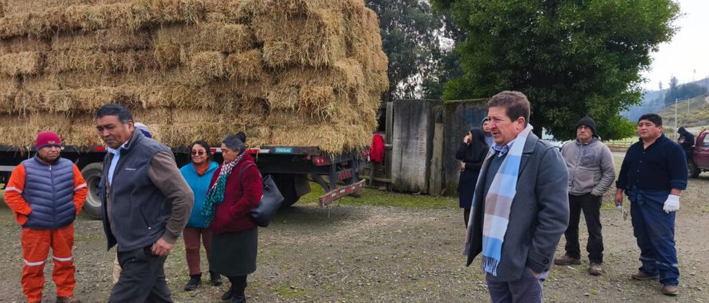 Entrega de fardos de forraje a campesinos por parte de la Municipalidad de Lumaco tras temporales