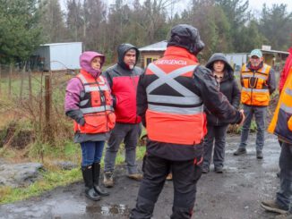 Personal municipal junto a profesionales de Vialidad y DOH inspeccionando caminos rurales en Villarrica