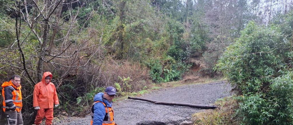 Maquinaria municipal realizando trabajos de reperfilado y mejora en caminos rurales de Villarrica.