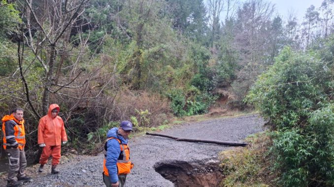 Maquinaria municipal realizando trabajos de reperfilado y mejora en caminos rurales de Villarrica.