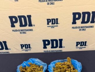 Detectives de la PDI incautan droga y elementos para su comercialización en operativo en Angol